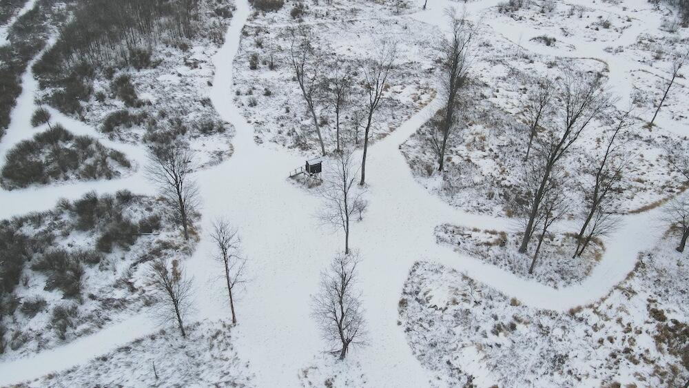 78.5-acres Alabaster Road Tawas City, MI 48763 - Photo 10 of 91 DJI_0440