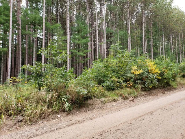 $89,500 | V/l North Lakola Road, Luther, MI 49656