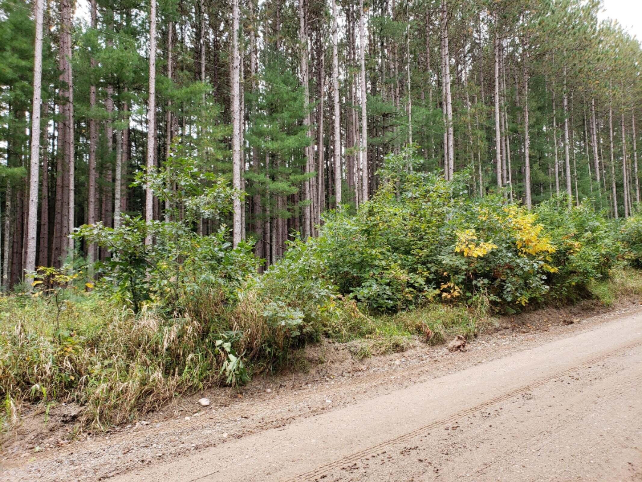 20220426021453152923000000-o