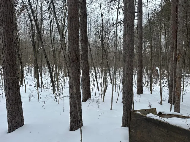 $89,500 | V/l North Lakola Road, Luther, MI 49656