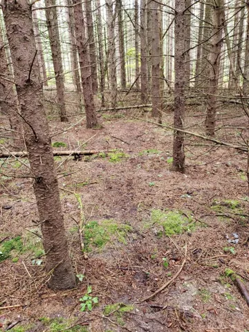 $89,500 | V/l North Lakola Road, Luther, MI 49656