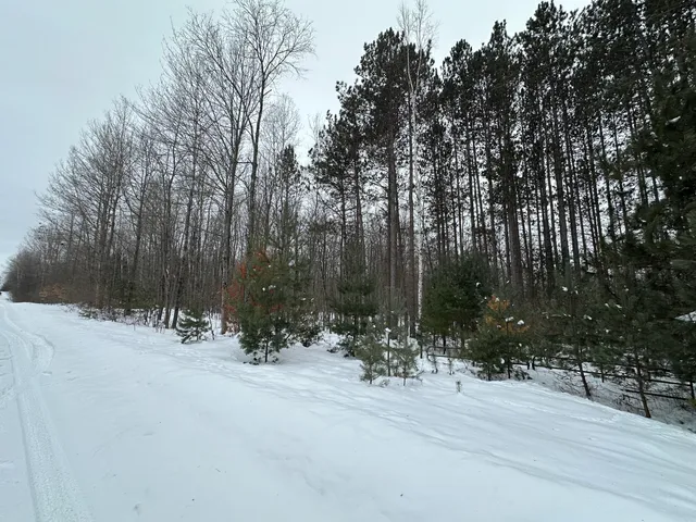 $89,500 | V/l North Lakola Road, Luther, MI 49656