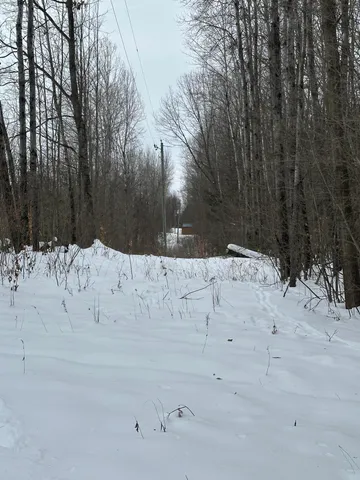 $89,500 | V/l North Lakola Road, Luther, MI 49656