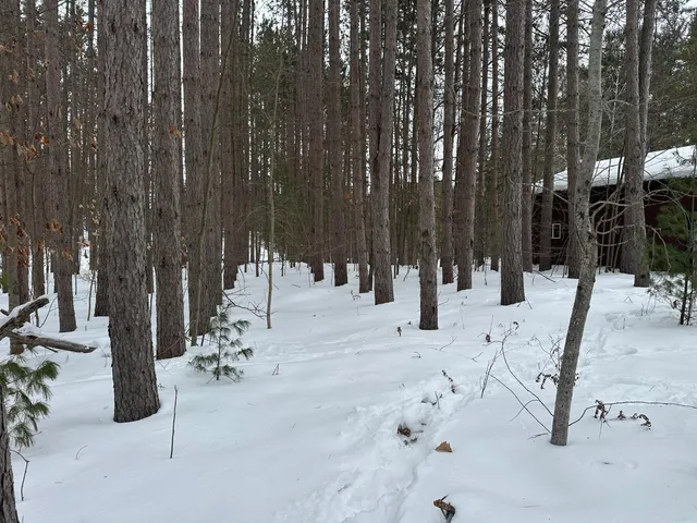 $89,500 | V/l North Lakola Road, Luther, MI 49656