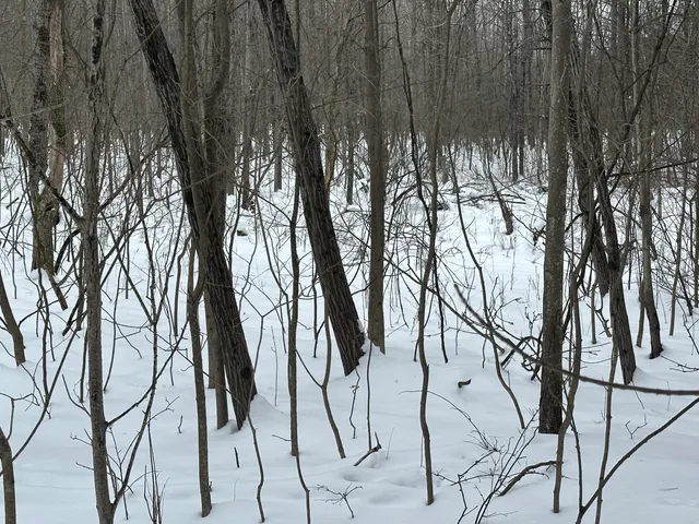 $89,500 | V/l North Lakola Road, Luther, MI 49656