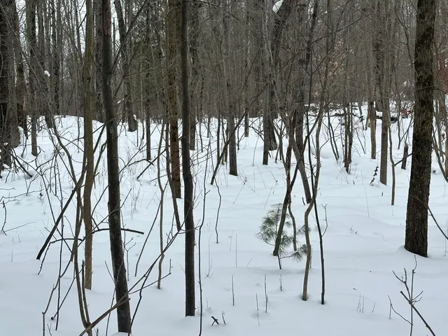 $89,500 | V/l North Lakola Road, Luther, MI 49656