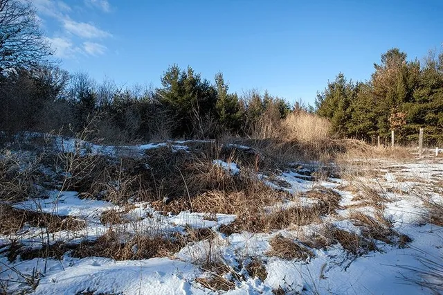 $249,900 | 311 Highway 21, Friendship, WI 53934