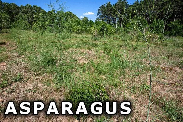 $249,900 | 311 Highway 21, Friendship, WI 53934