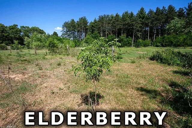 $249,900 | 311 Highway 21, Friendship, WI 53934