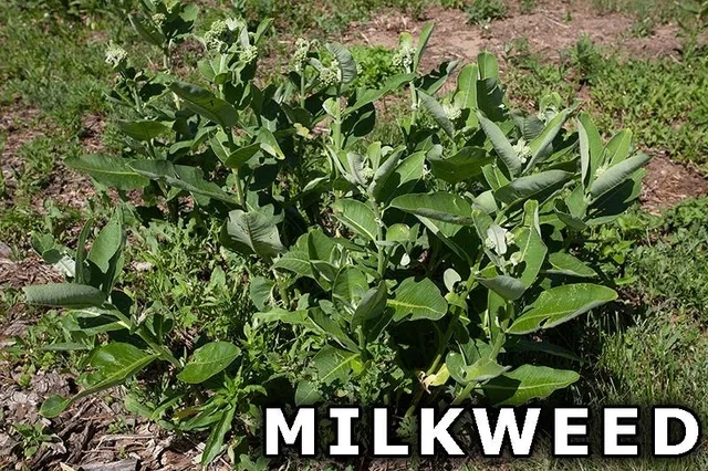 $249,900 | 311 Highway 21, Friendship, WI 53934