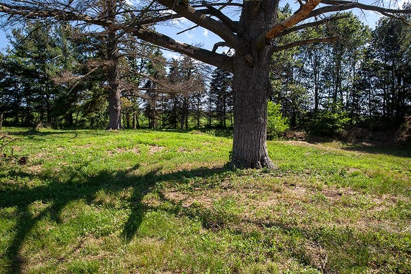 311 Highway 21 Friendship, WI 53934 - Photo 55 of 67