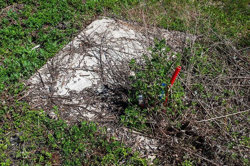 311 Highway 21 Friendship, WI 53934 - Photo 58 of 67