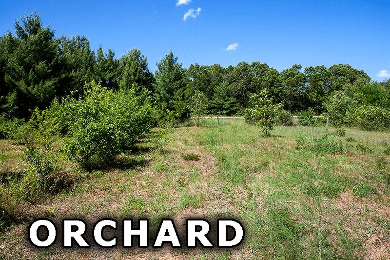 311 Highway 21 Friendship, WI 53934 - Photo 59 of 67