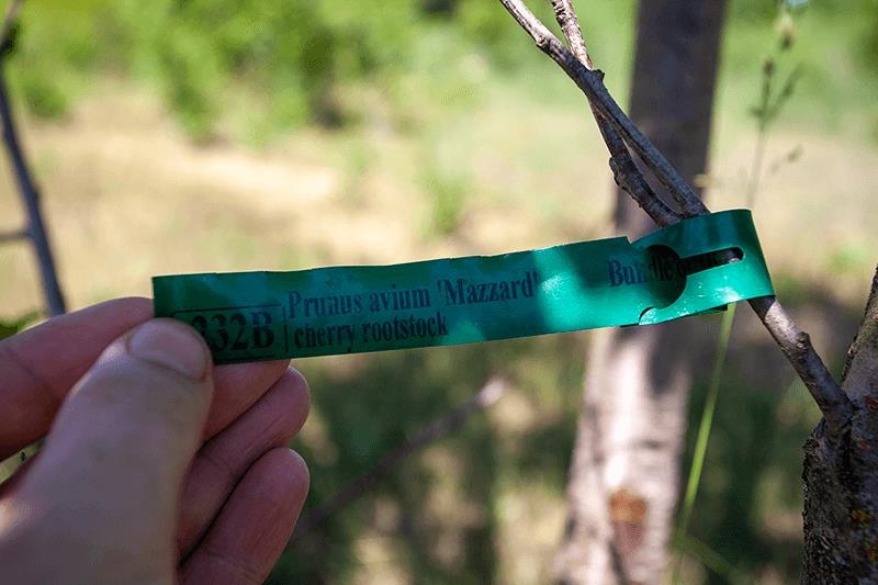 311 Highway 21 Friendship, WI 53934 - Photo 60 of 67