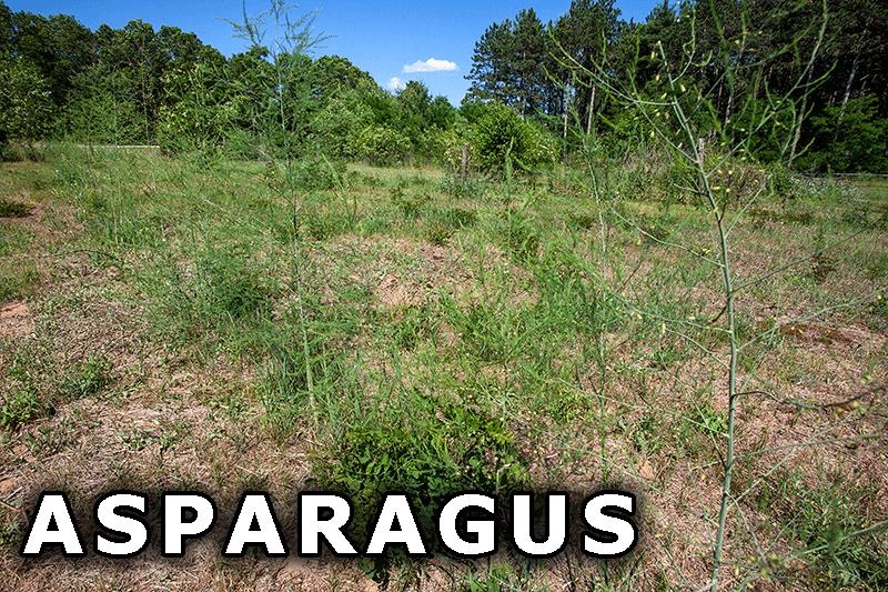 311 Highway 21 Friendship, WI 53934 - Photo 61 of 67