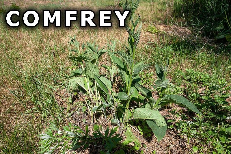 311 Highway 21 Friendship, WI 53934 - Photo 62 of 67