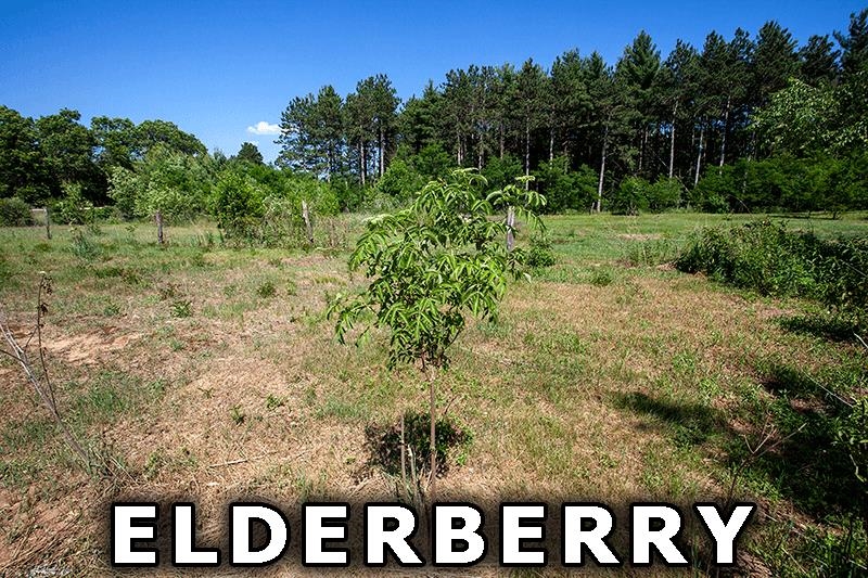 311 Highway 21 Friendship, WI 53934 - Photo 64 of 67