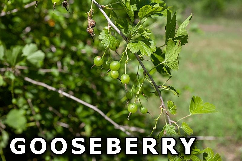 311 Highway 21 Friendship, WI 53934 - Photo 65 of 67