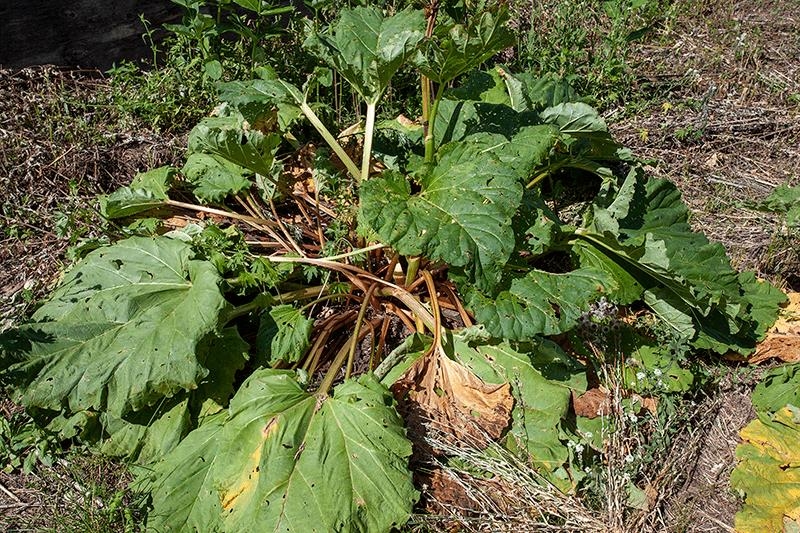 311 Highway 21 Friendship, WI 53934 - Photo 67 of 67