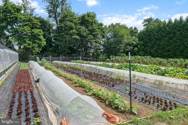 a view of a house with a yard and garage