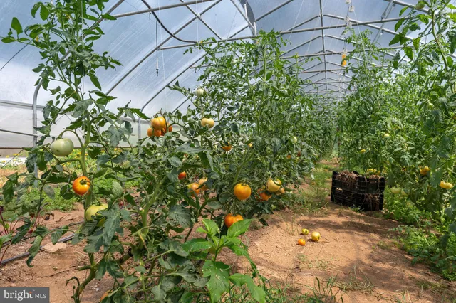 $975,000 | 20633 Mt Zion Road, Freeland, MD 21053