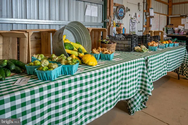 $975,000 | 20633 Mt Zion Road, Freeland, MD 21053