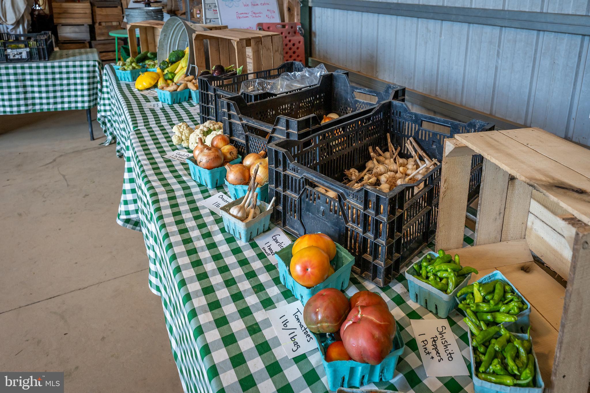 20633 Mt Zion Road Freeland, MD 21053 - Photo 94 of 96