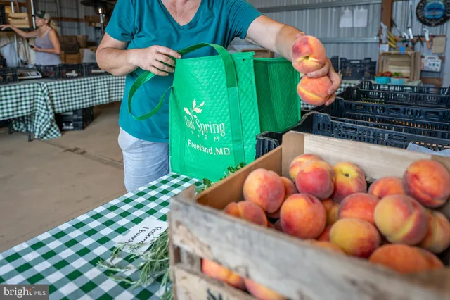 $975,000 | 20633 Mt Zion Road, Freeland, MD 21053