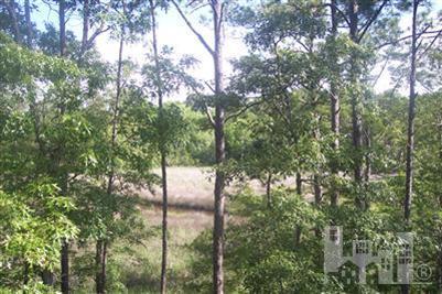 50 Canvasback Point Hampstead, NC 28443 - Photo 3 of 5 Additional Photo