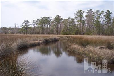 50 Canvasback Point Hampstead, NC 28443 - Photo 5 of 5 Additional Photo
