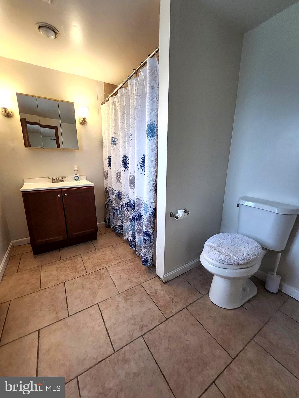 415 View Town Road Amissville, VA 20106 - Photo 11 of 19 a bathroom with a bathtub and toilet