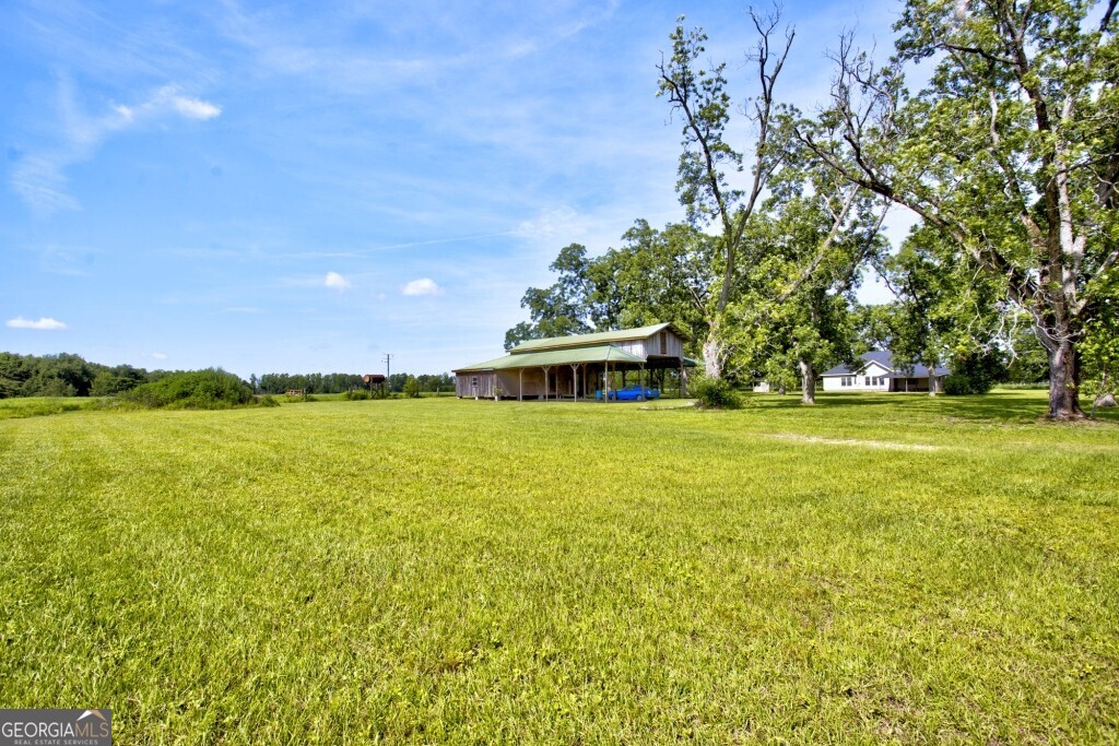 1034 Cecil Tyre Road Bristol, GA 31518 - Photo 47 of 63