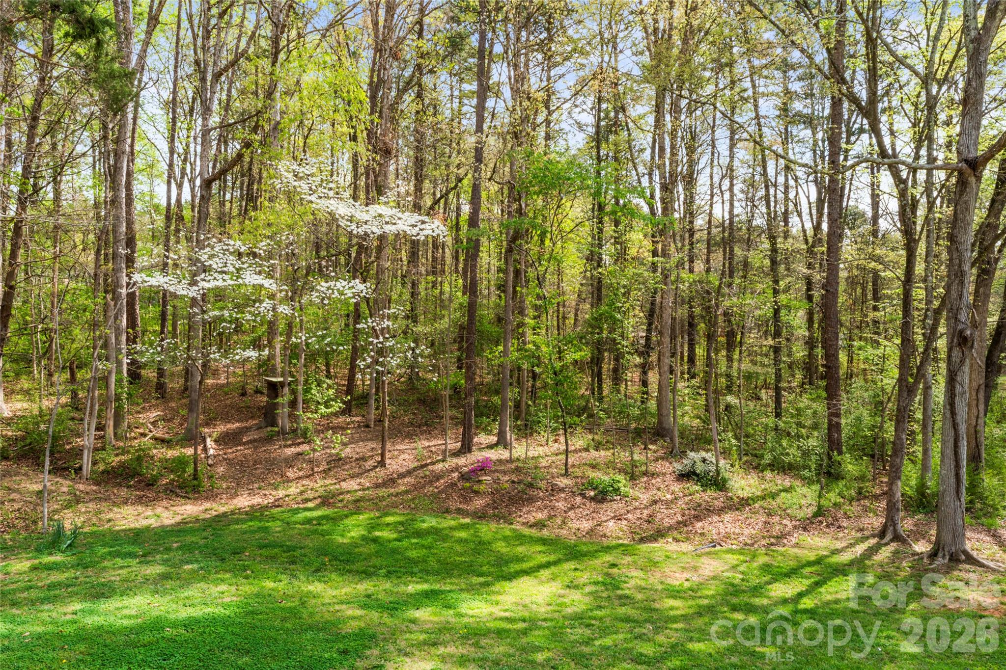 2120 Irish Potato Road Concord, NC 28025 - Photo 16 of 24