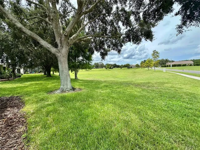 a view of a backyard with a garden