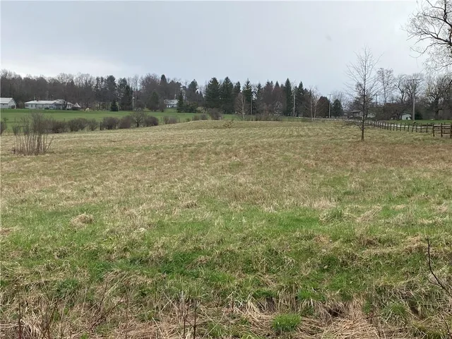 a view of a field with trees in the background