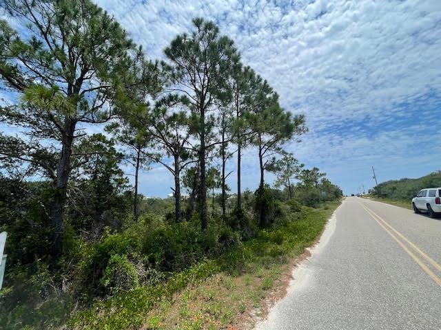 0 Veterans Road Gulf Shores, AL 36542 - Photo 4 of 7