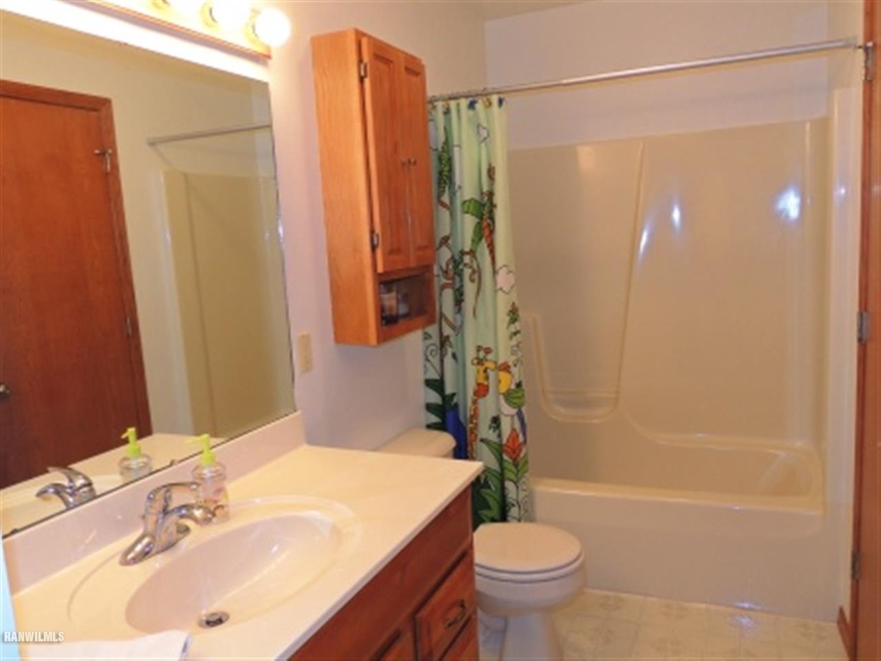 10730 East Rock Grove Road Davis, IL 61019 - Photo 8 of 12 a bathroom with a sink a toilet and shower