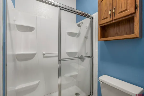 a bathroom with a shower and a toilet