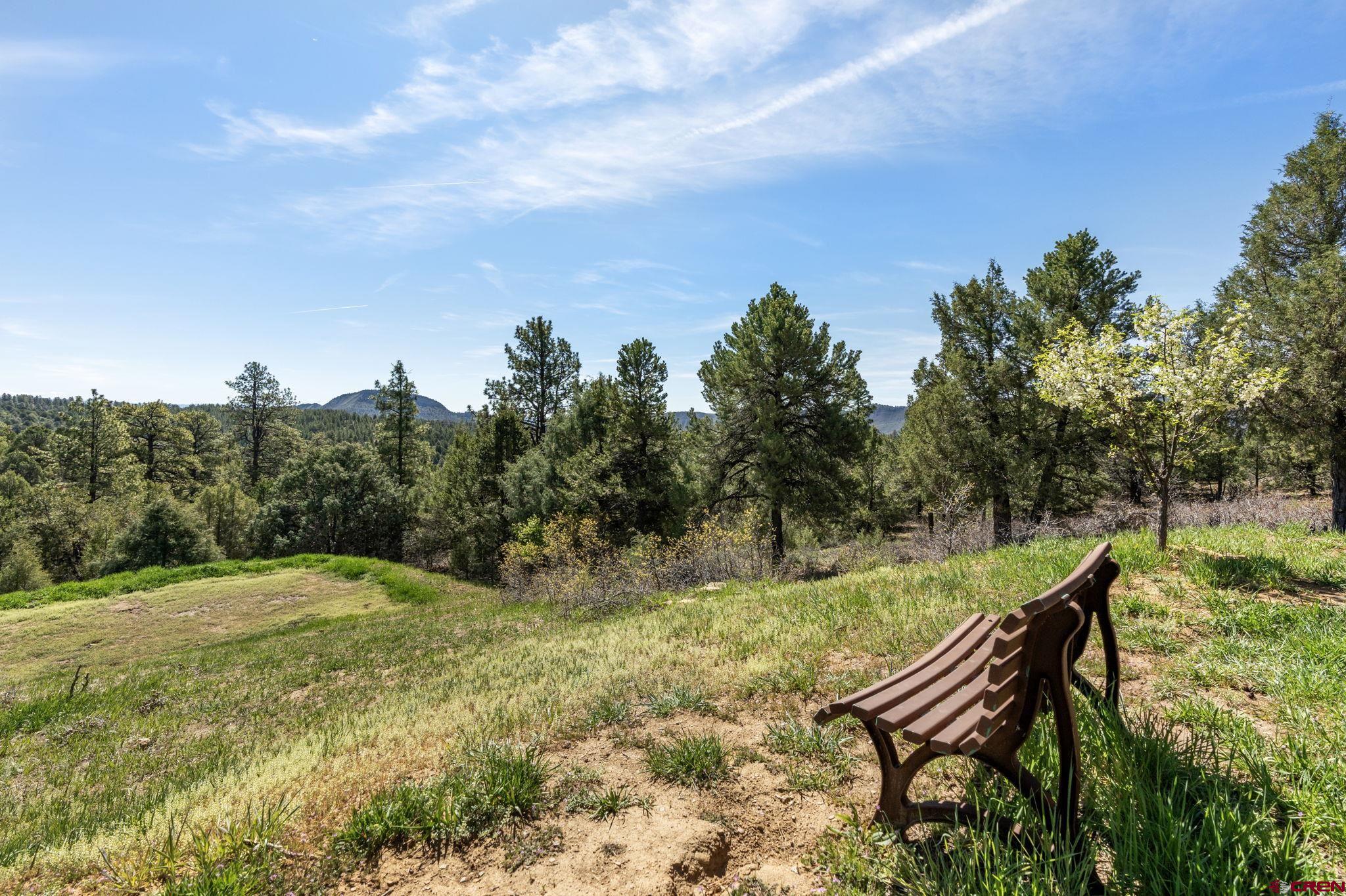 720 Sawmill Road Durango, CO 81303 - Photo 31 of 41