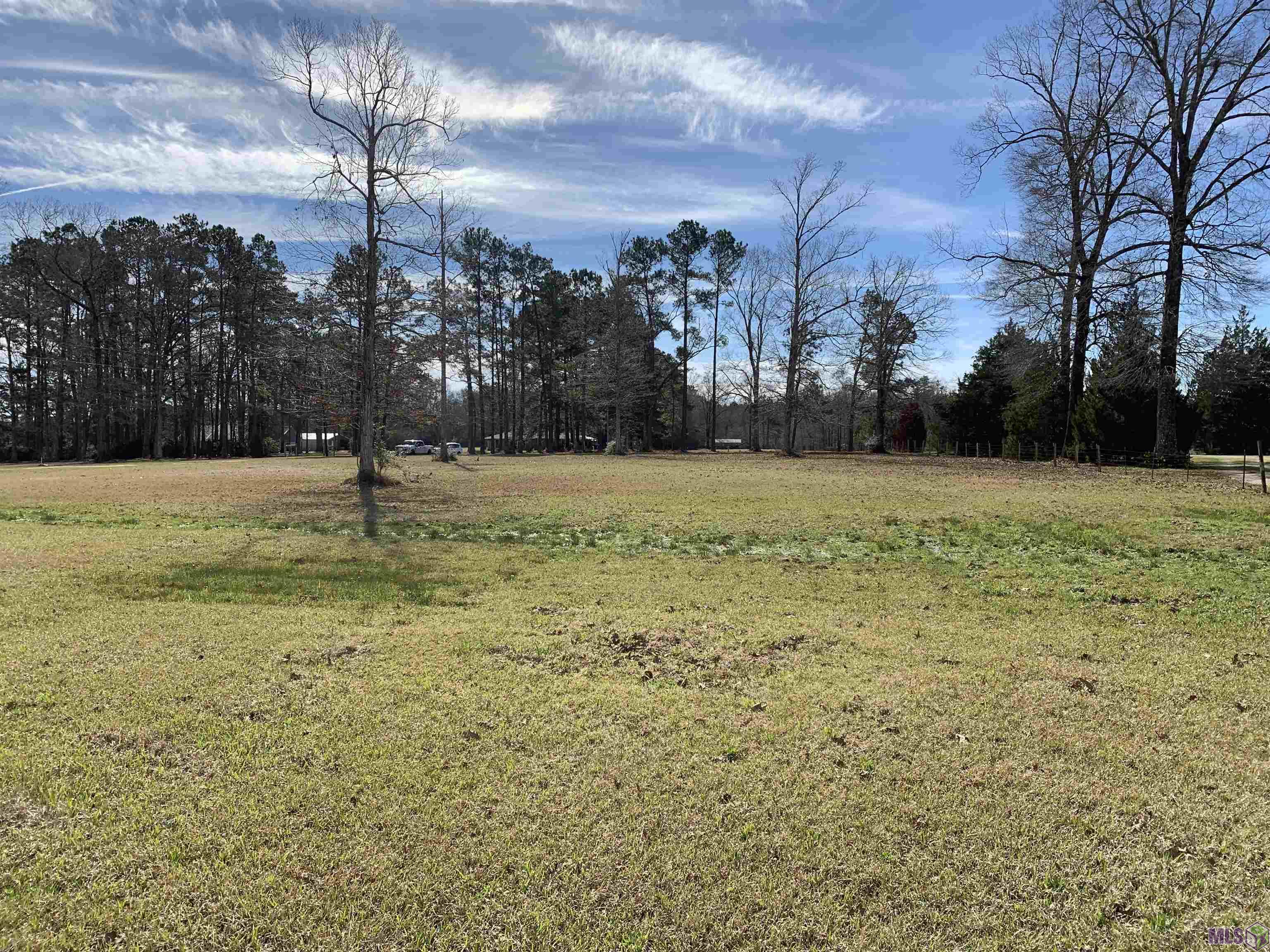 16881 Mahoney Road Pride, LA 70770 - Photo 3 of 7 Gallery Image 3