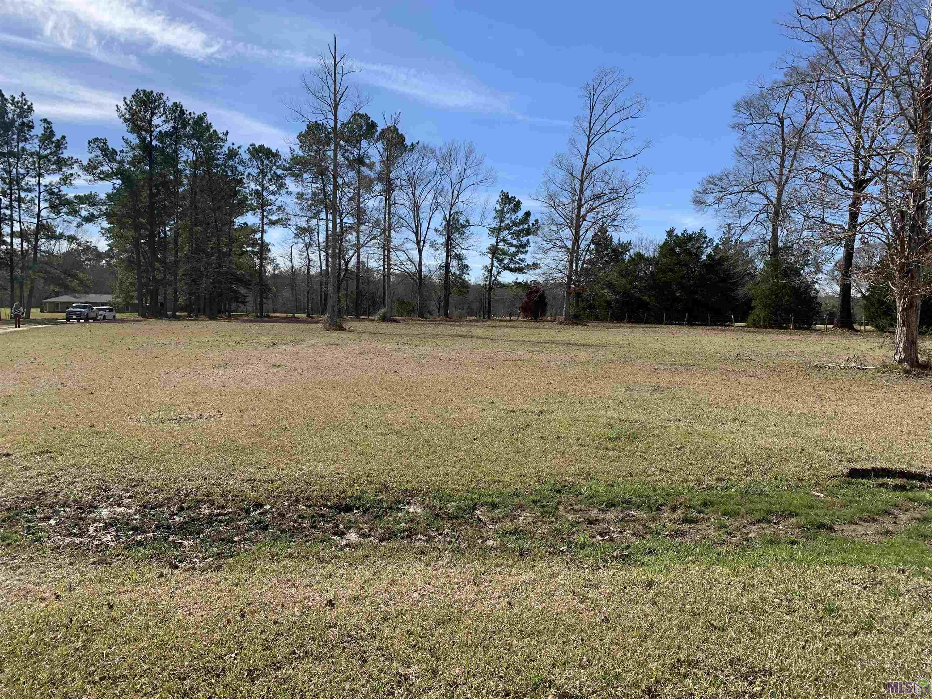 16881 Mahoney Road Pride, LA 70770 - Photo 4 of 7 Gallery Image 4