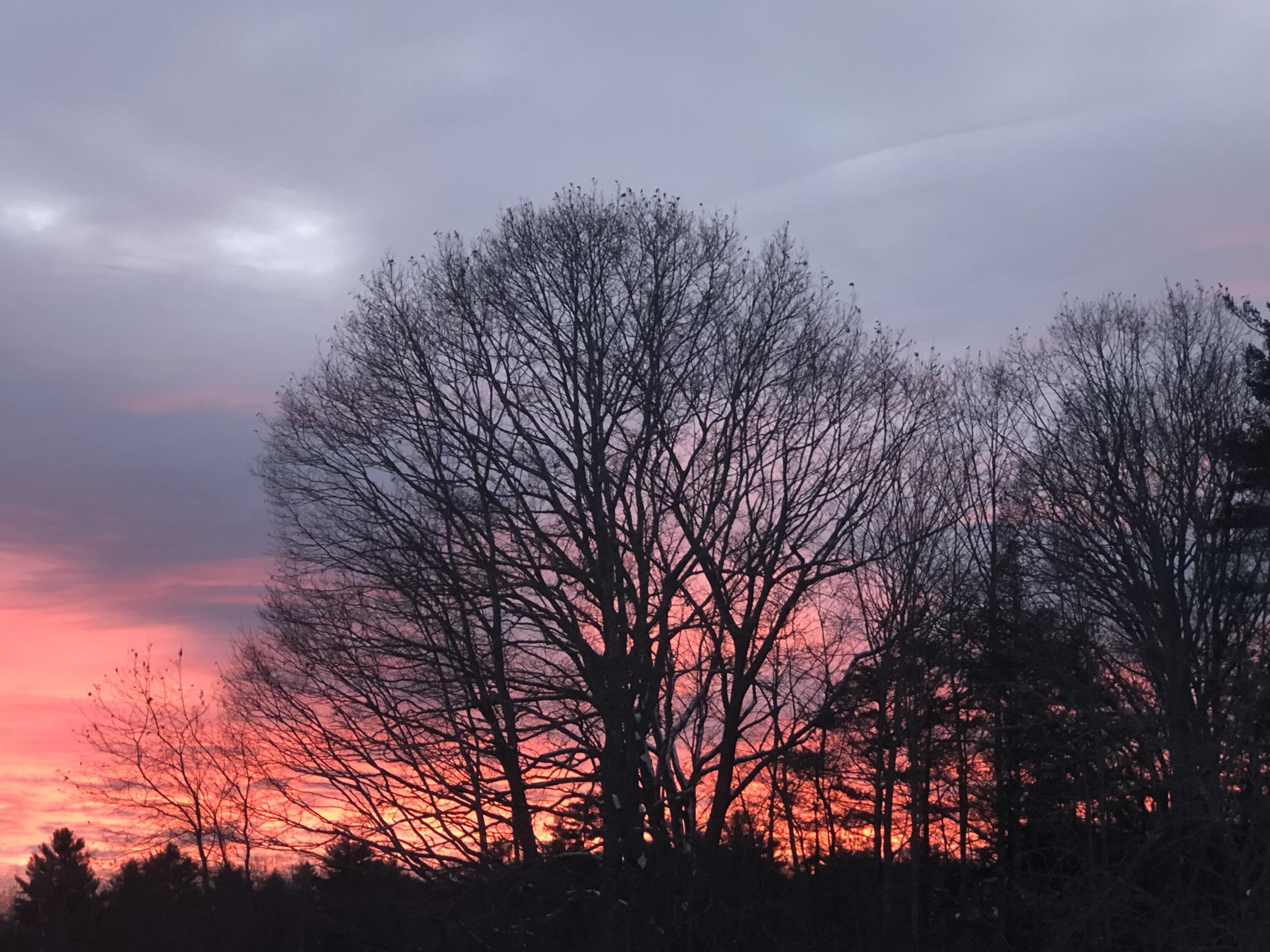 96 Weymouth Road Morrill, ME 04952 - Photo 61 of 62 96 Weymouth Sunset 2