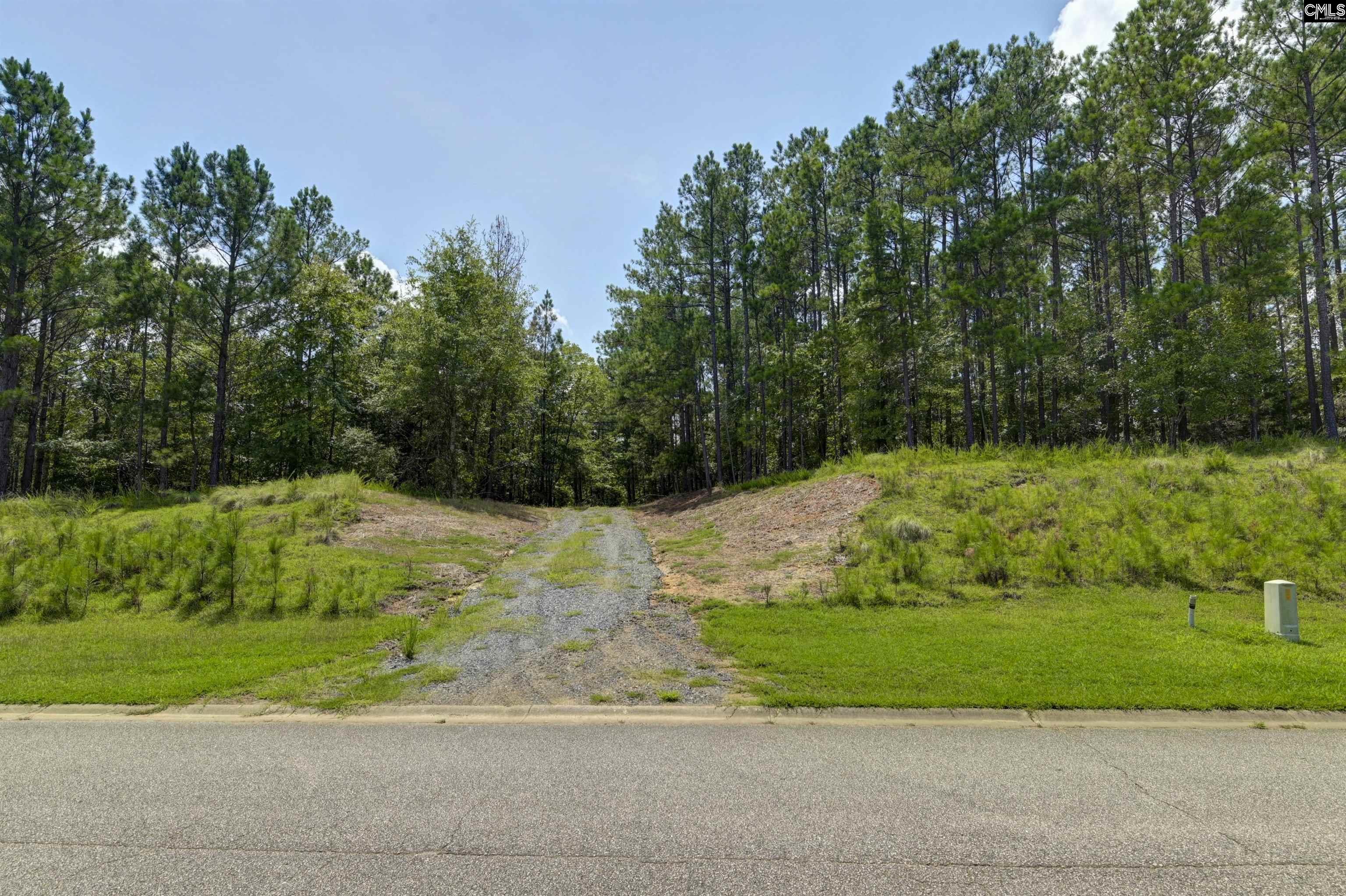 Tbd Retreat Way Ridgeway, SC 29130 - Photo 11 of 26