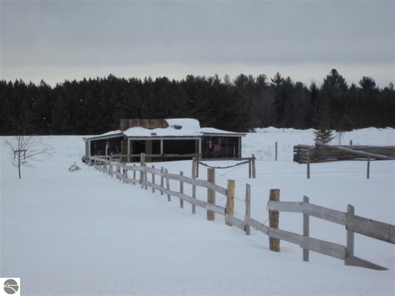521 Tyler Road Southeast Kalkaska, MI 49646 - Photo 4 of 35 1784942-3.JPG