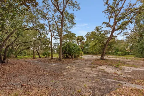 a view of a yard with a tree