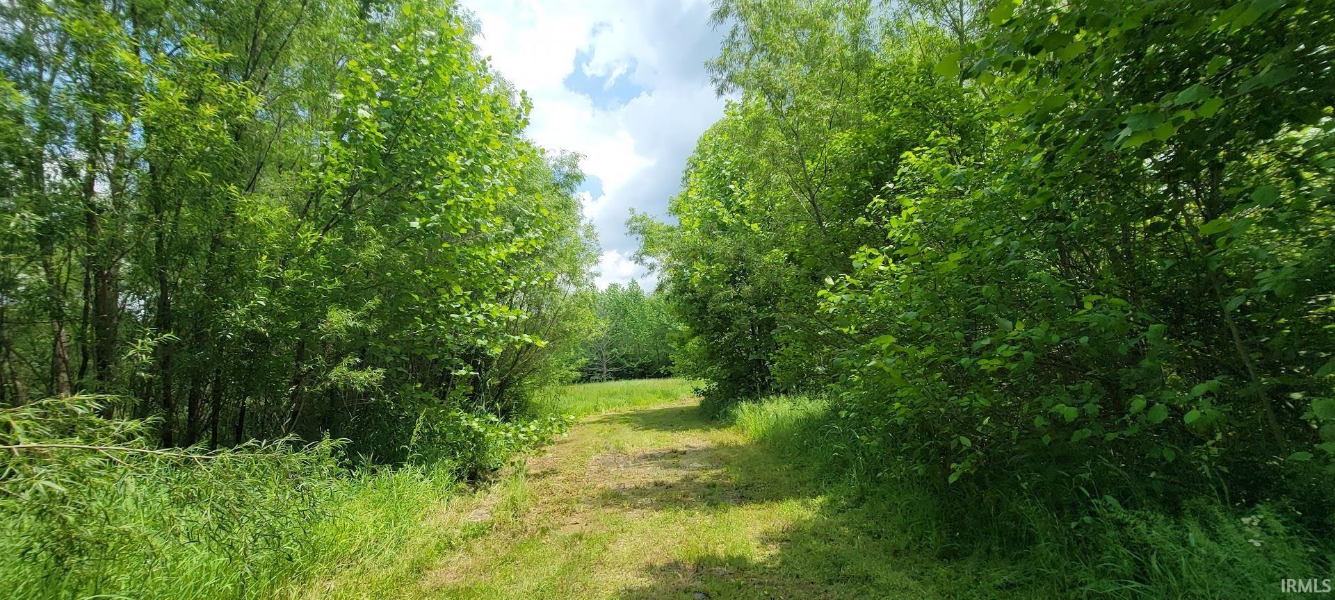25.5-acres Peerless Road Bedford, IN 47421 - Photo 22 of 26