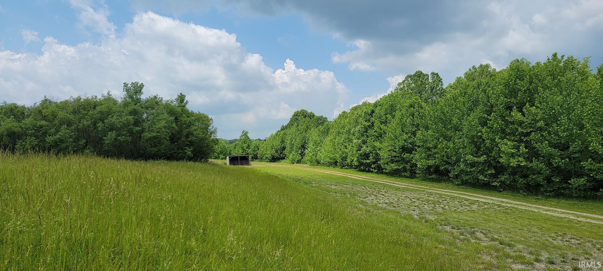 25.5-acres Peerless Road Bedford, IN 47421 - Photo 4 of 26