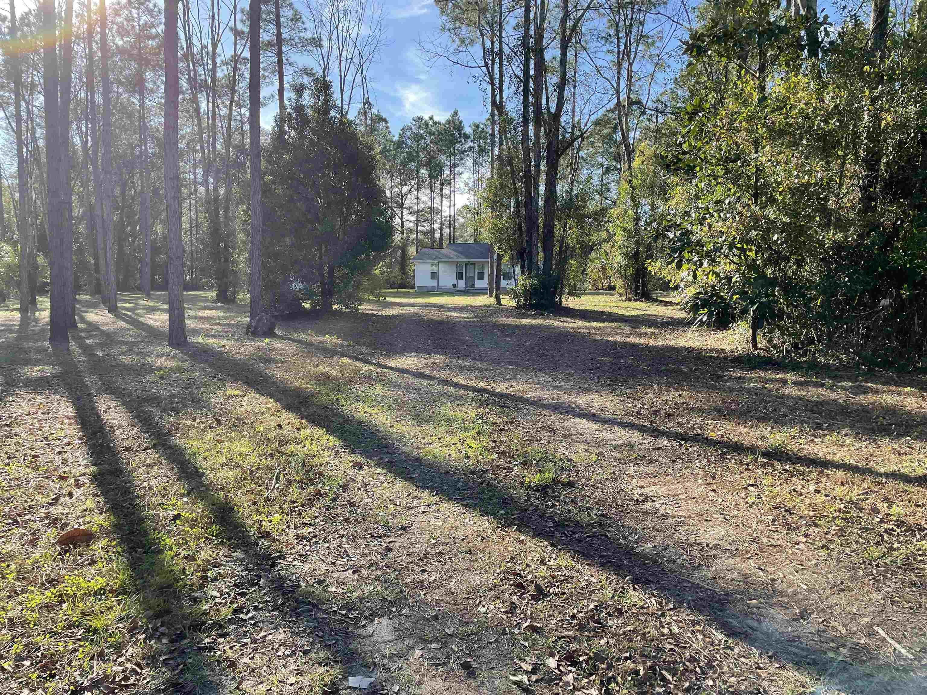 4219 Puckett Road Perry, FL 32348 - Photo 2 of 9
