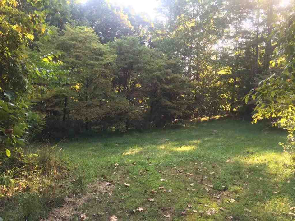 3.5-acres Redland Ranch Road, Unit CORNER OF REDLAND RANCH R Walhalla, SC 29691 - Photo 4 of 9 Gallery Image 4