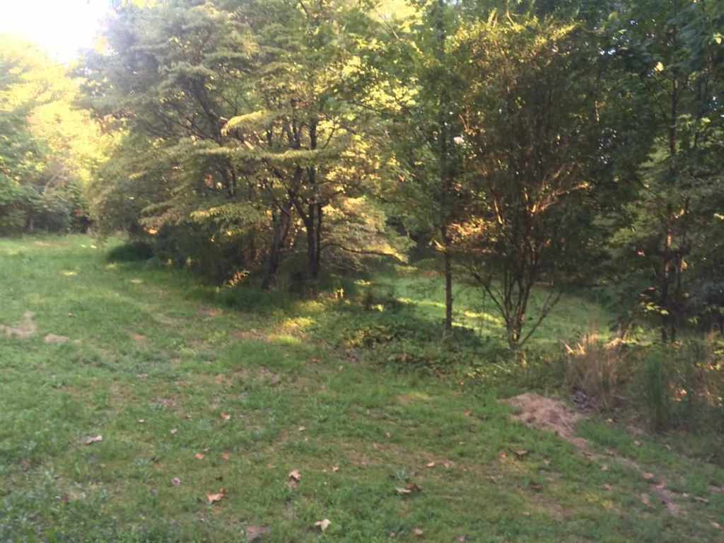 3.5-acres Redland Ranch Road, Unit CORNER OF REDLAND RANCH R Walhalla, SC 29691 - Photo 5 of 9 Gallery Image 5